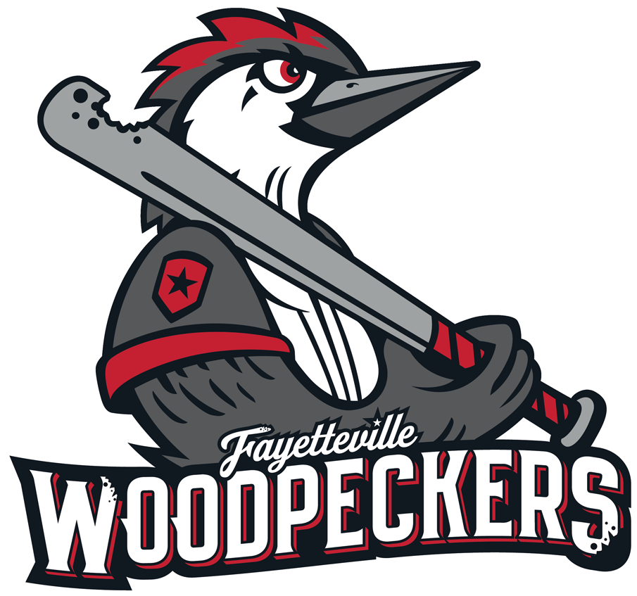 Fayetteville Woodpeckers 2019-Pres Primary Logo iron on transfers for T-shirts